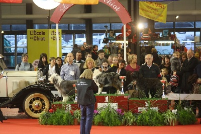 in vogue island - premiers résultats 2012!