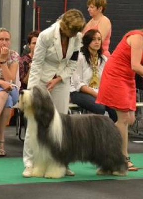 in vogue island - Byron est champion international!!!