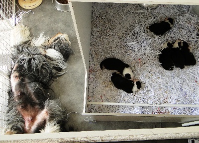 in vogue island - photos des bébés à 2 semaines