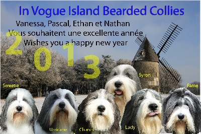 in vogue island - bonne année 2013