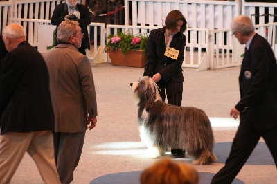 in vogue island - salon de l'agriculture 2010