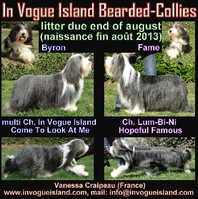 in vogue island - bébés
