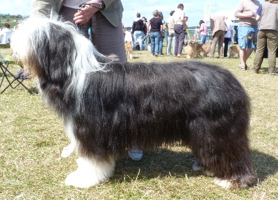 in vogue island - CACS Dieppe 2011