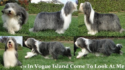 in vogue island - nouvelles photos de Byron