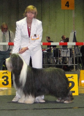 in vogue island - CACIB Luxembourg