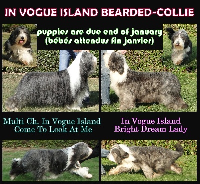 in vogue island - Bébés en vu!!!