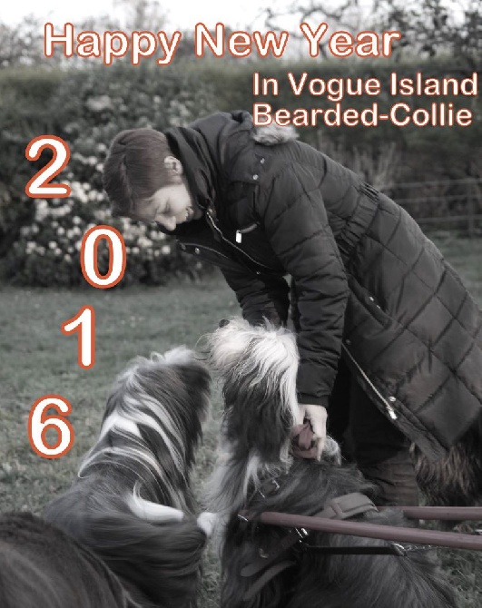 in vogue island - Bonne Année 2016