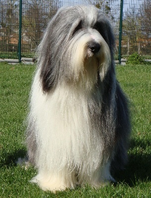 in vogue island - champion de France!!!