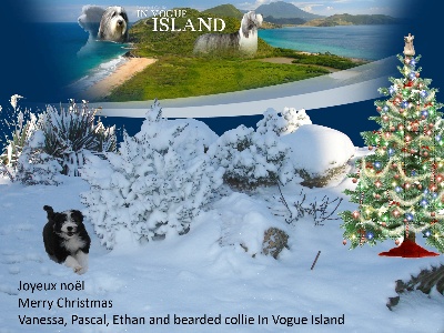 in vogue island - joyeux noël à tous