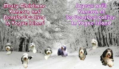 in vogue island - Joyeux noël!